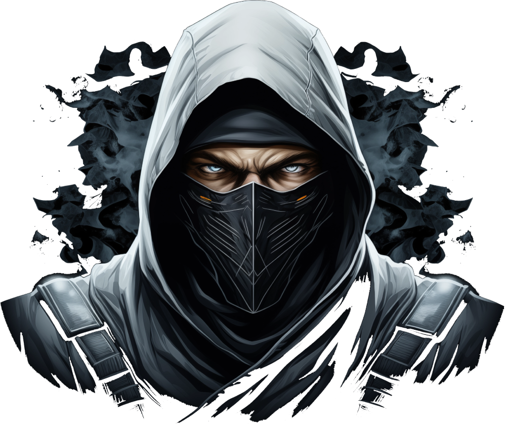 Ninja illustration